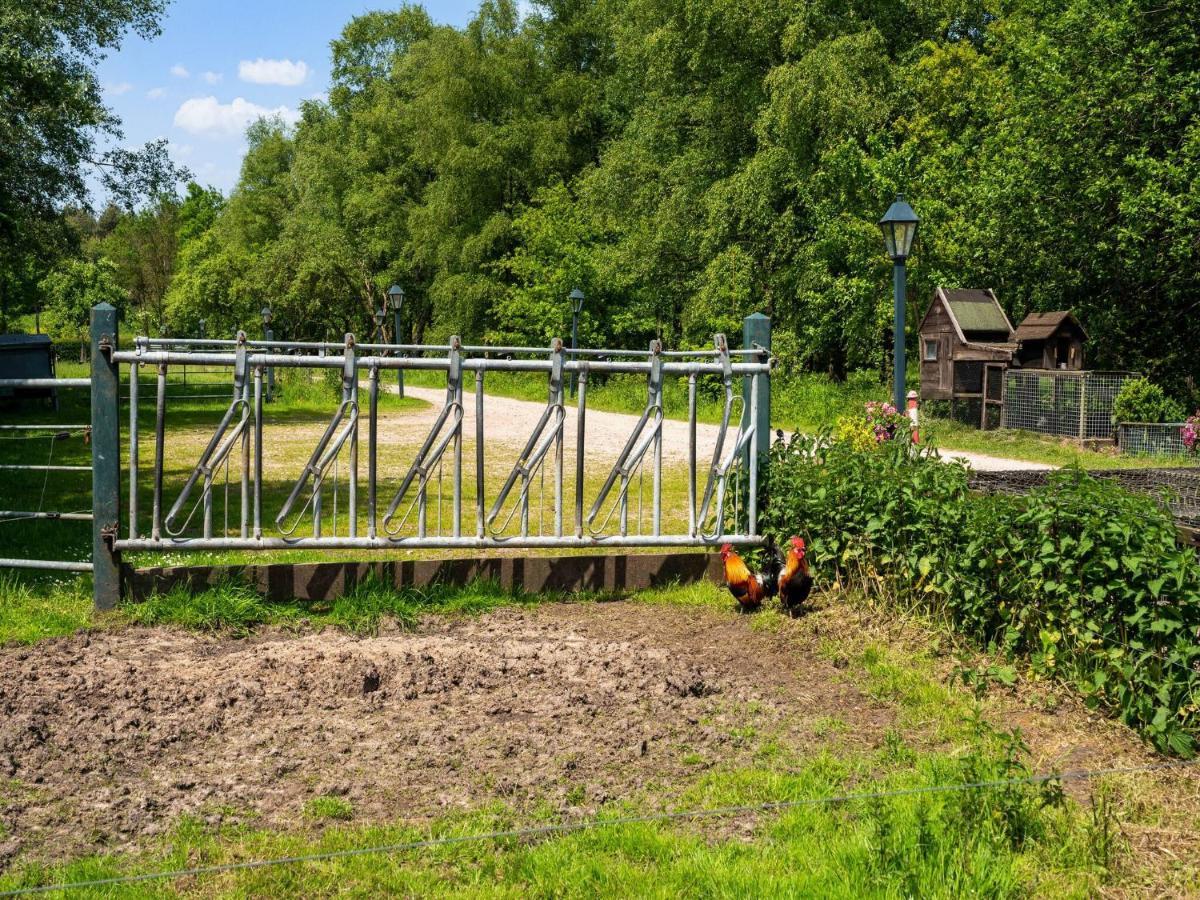 A Lovely Cottage On The Dwingelderveld Nature Park Beilen Buitenkant foto
