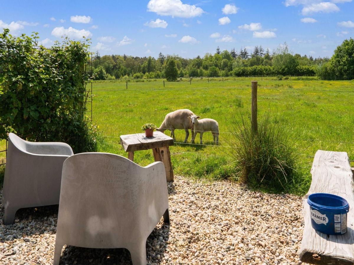 A Lovely Cottage On The Dwingelderveld Nature Park Beilen Buitenkant foto